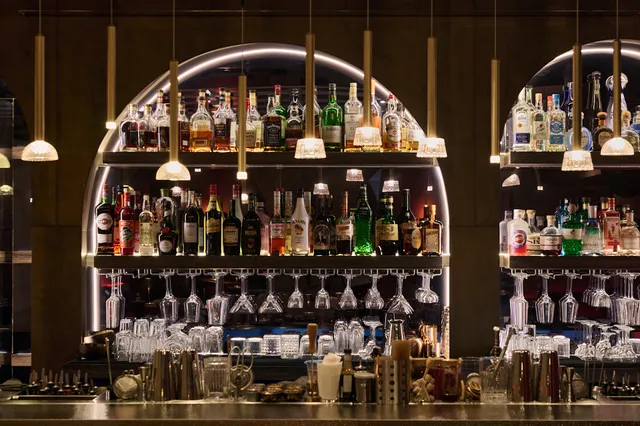 Vidi Behind the Blue Door