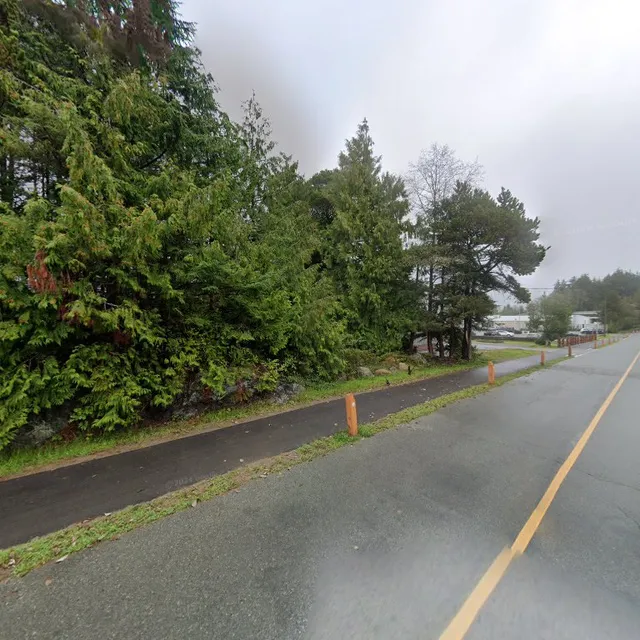 Ucluelet Coast Canine
