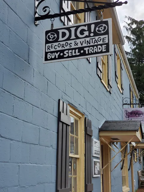 Dig! Records and Vintage
