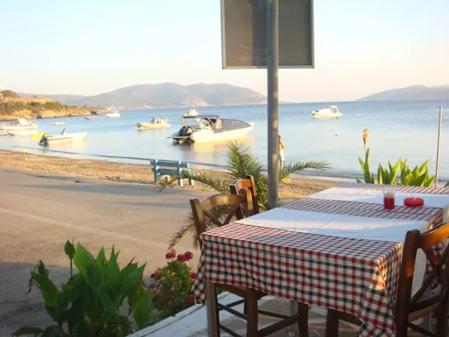 Ταβέρνα-Ουζερί ''Ο Πλάτανος''