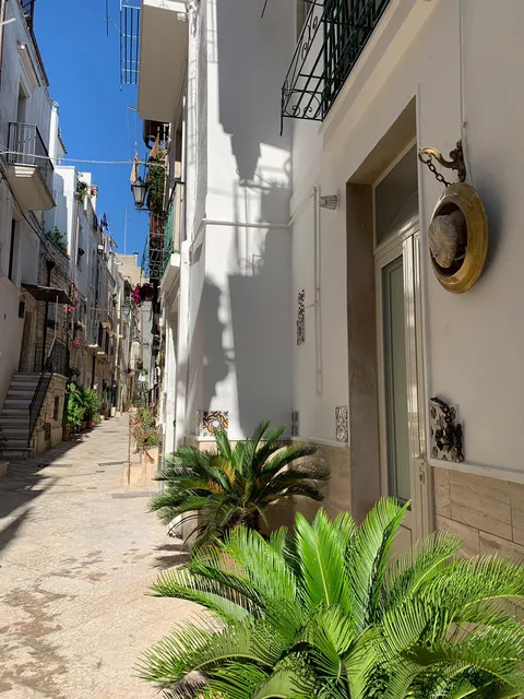 Fiori e catene tra le torri affittacamere dimore di charme