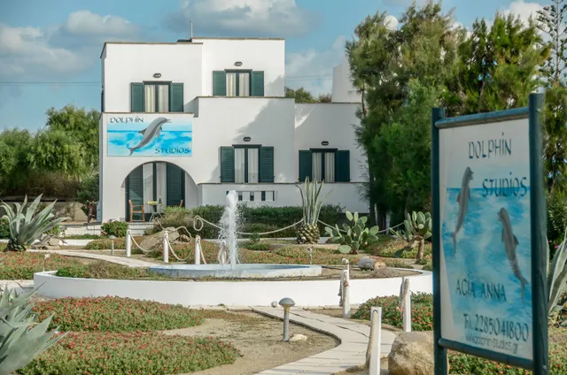 Dolphin-Studios Agia Anna