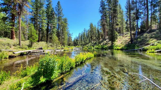 Fall River Campground