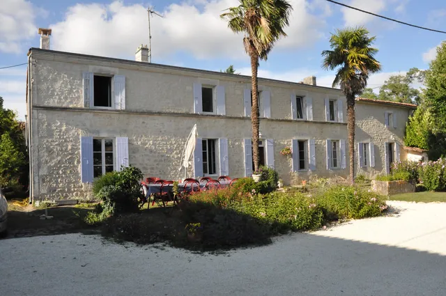 les violettes de Malleville