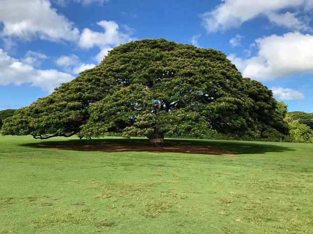 Moanalua Community Park