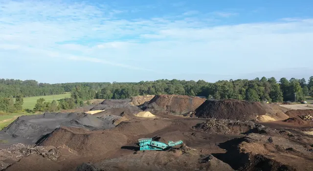 Living Earth - Pineland