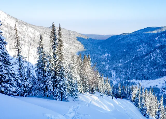 Frirayd Tsentr Mamay