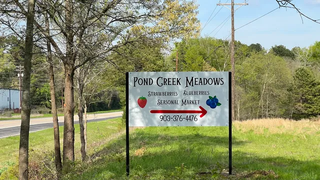 Pond Creek Meadows