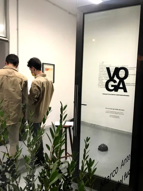 VOGA art project