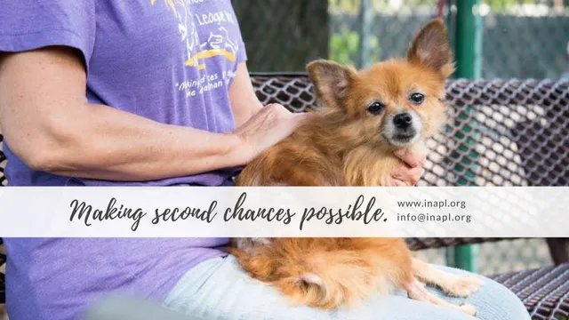 The Animal Protection League Inc., Indiana