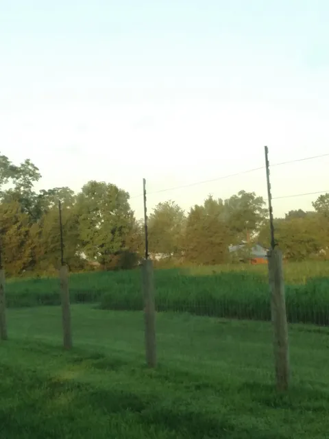 Detweiler Homestead Farm