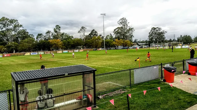 Ron Dine Memorial Reserve