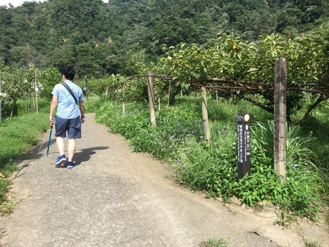 Shuangqi Ambuping Trail