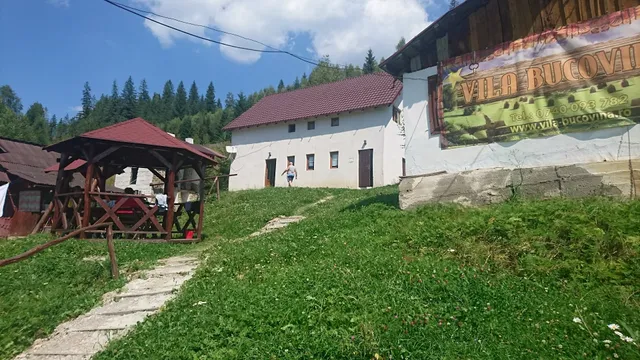 Vila Bucovina