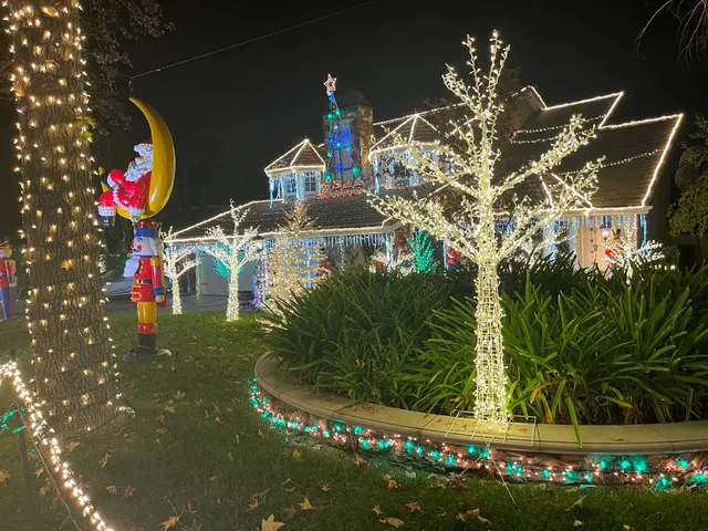 Thoroughbred Christmas Lights