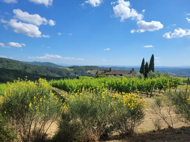 Podere Ciona - Wine & holiday in Tuscany