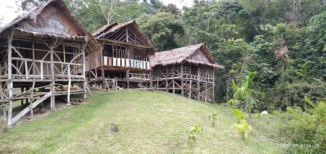 Booking office Orangutang Trekking Sumatra & Lovely Jungle Lodge