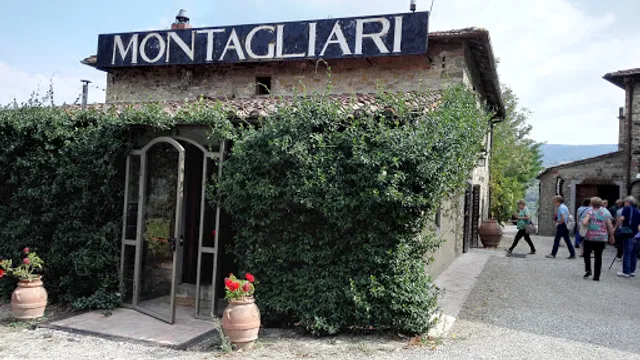 La Fattoria di Vignamaggio