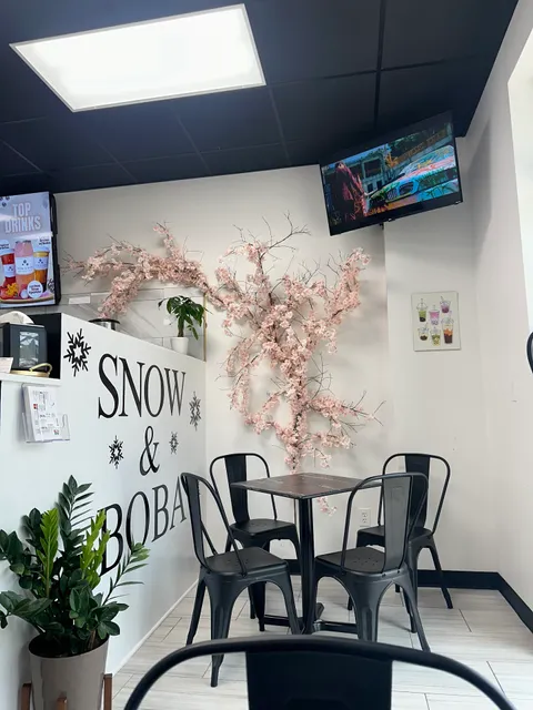 Snow & Boba Biloxi