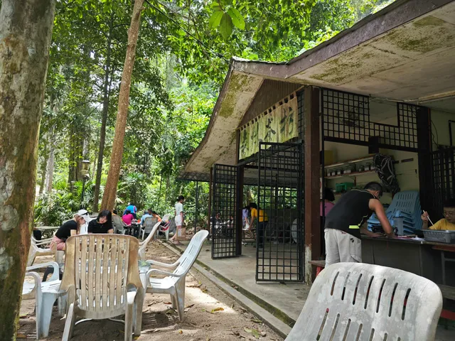 Tea SPA 森林茶坊