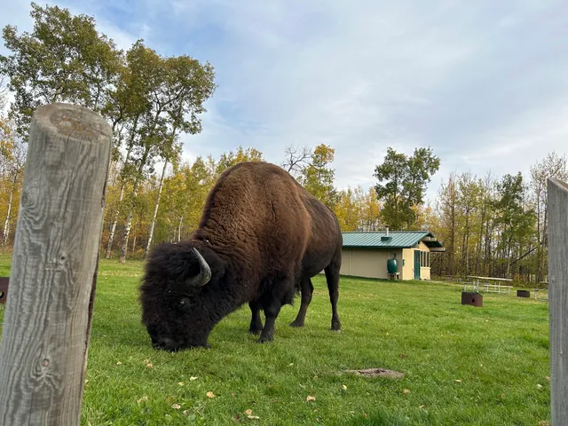 Elk Island National Park