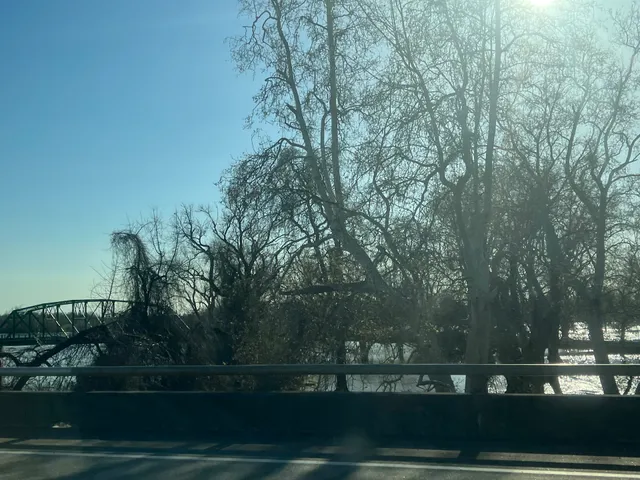 American River Parkway Trailhead