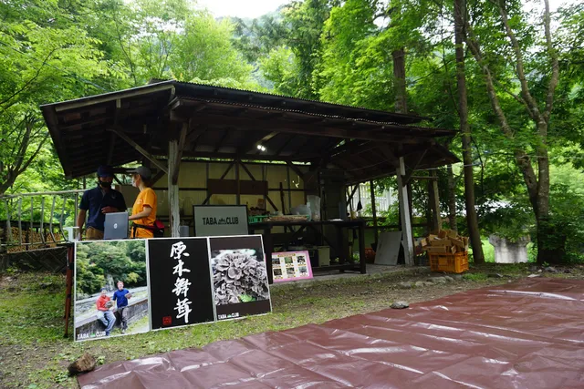 Kinoshita Family Camping Ground