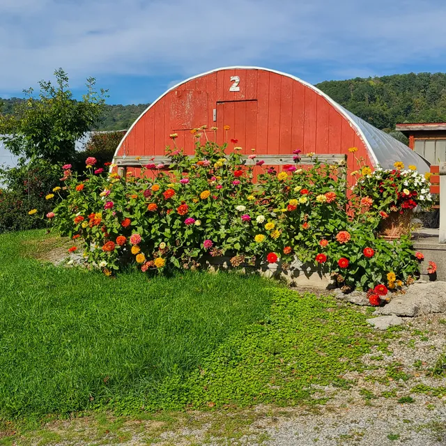 Warriors Mark Township