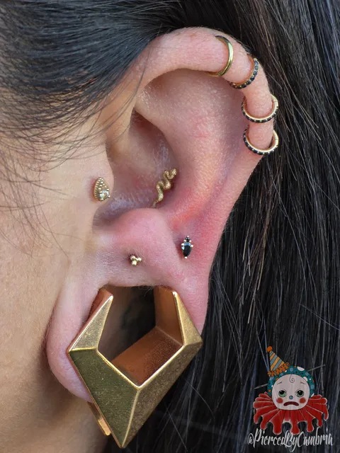 Ethereal Adornments Pierced By Cambria