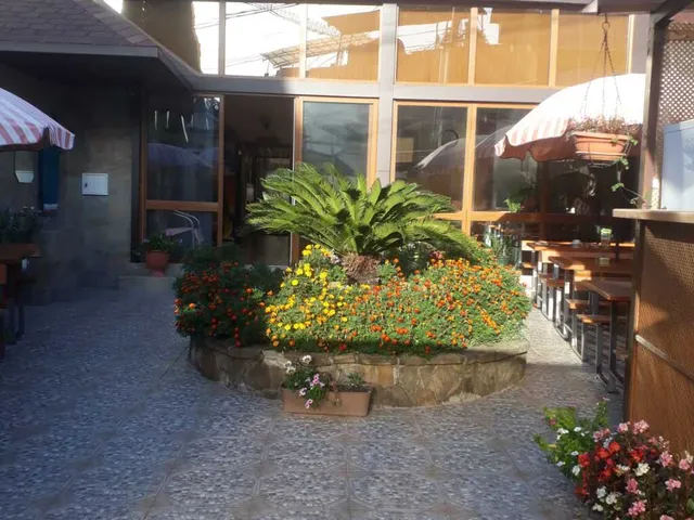 Guest house "Palmyra"