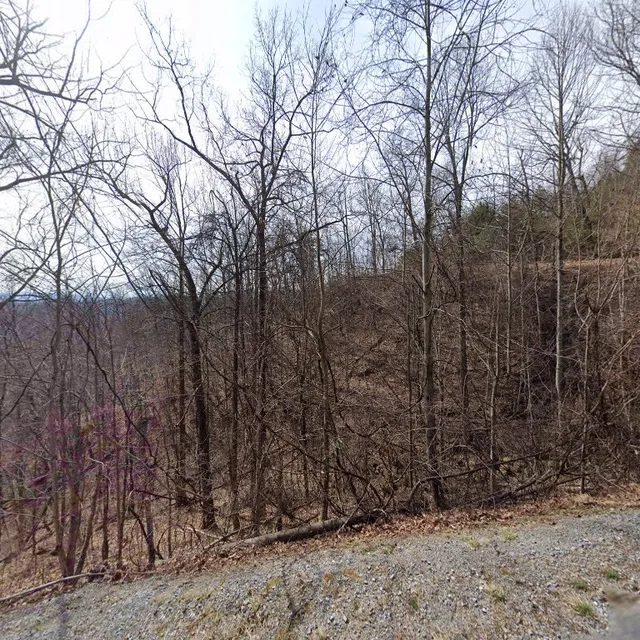Tree houses at Norton Creek Resort