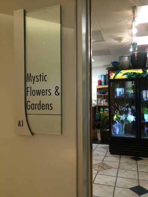 Mystic Flowers and Gardens