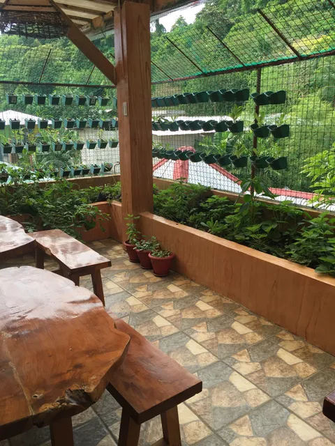 Vilus barefoot restaurant