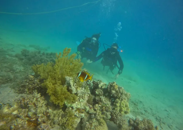 Dive Academy Red Sea