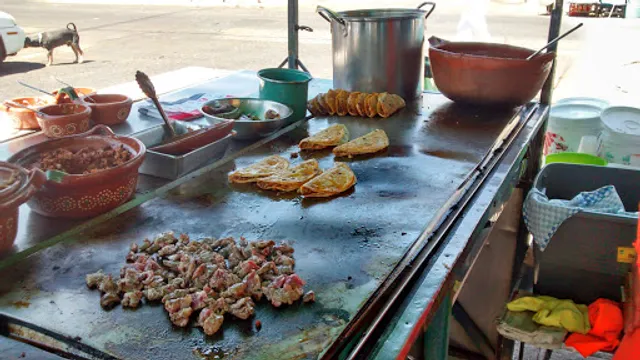 Tacos de Barbacoa Oscar