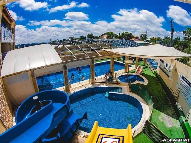 הרוח הפלילית