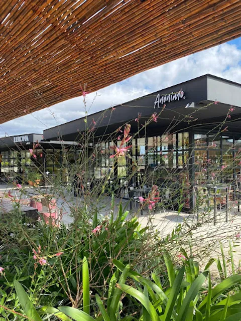 Anónimo. [Manantiales]