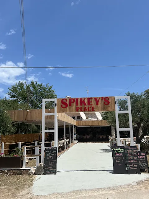 Spikey's Place