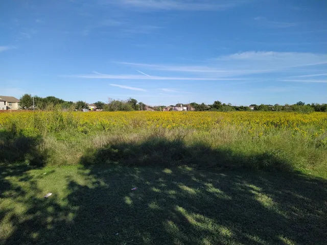 Grand Meadow Neighborhood Park