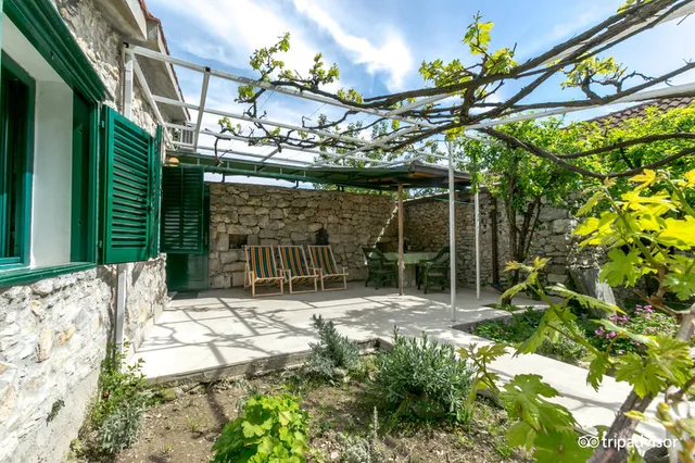 Hotel Garden Apartment