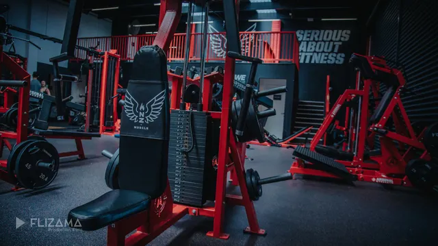 NZ Muscle Constellation Dr