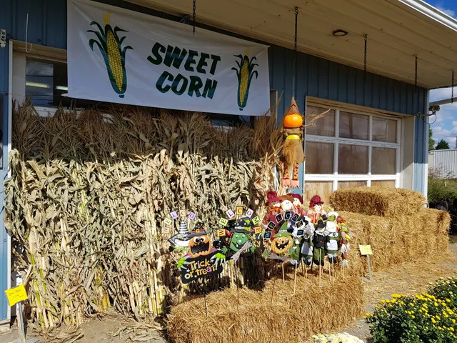 The Find Marketplace