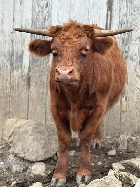 Hickory Hearth Highlands