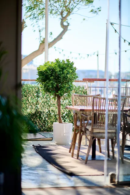 Diablito | Yas Marina