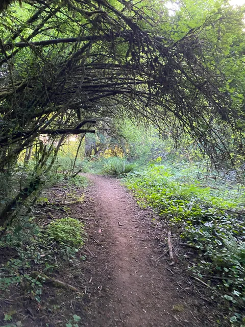 Kelly Butte Natural Area