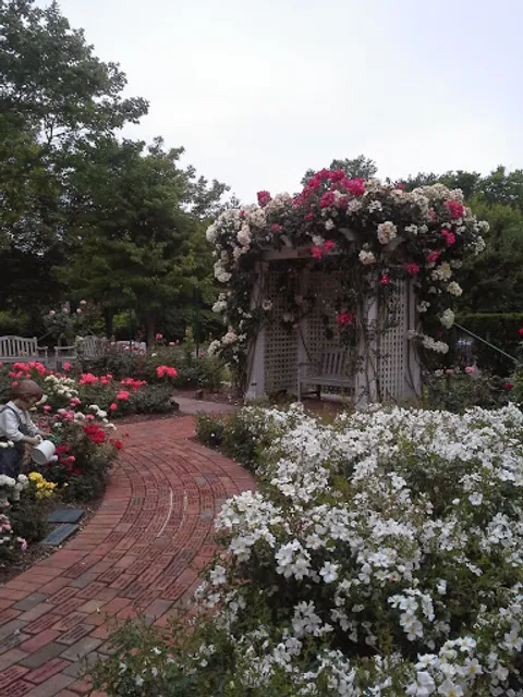 Rogers Memorial Library Rose Garden