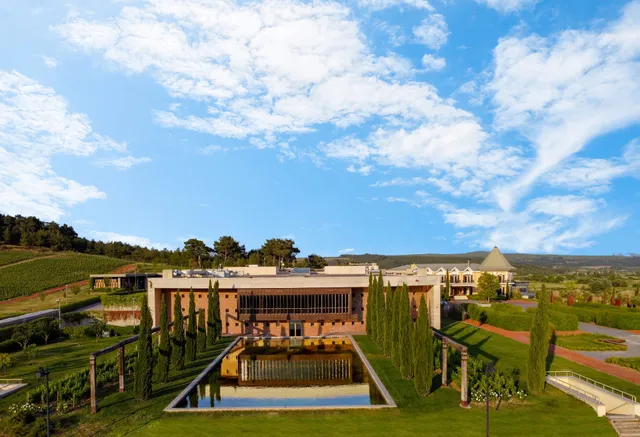 Hotel Caeli & Caeli Winery