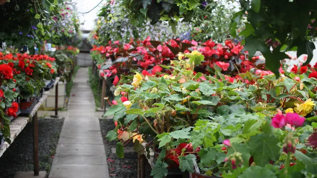 Embellissements Rivière-du-Loup