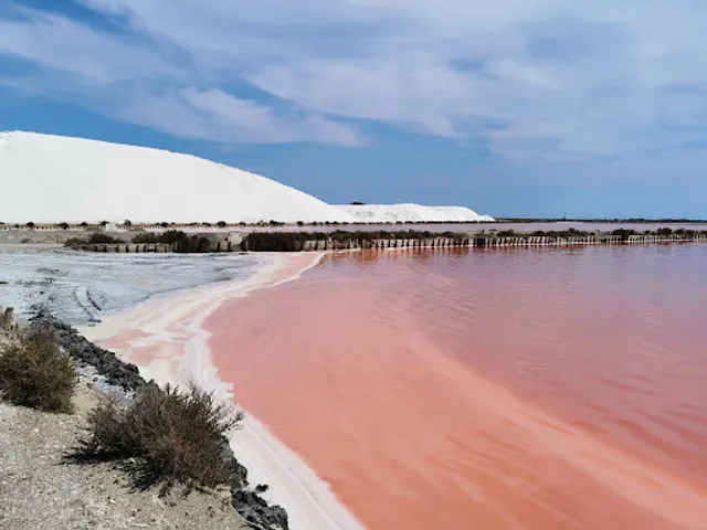 Salin d’Aigues-Mortes