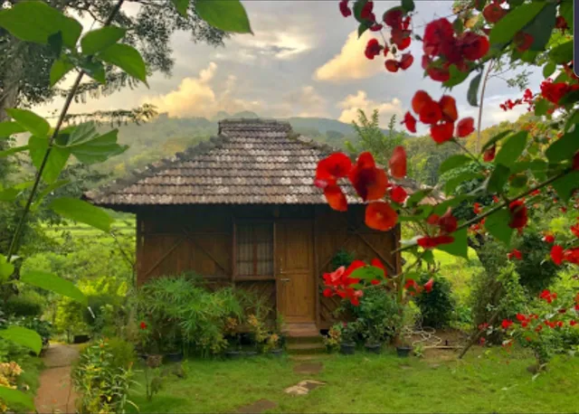 Jungle Retreat Wayanad